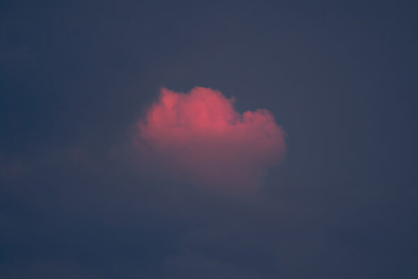 Up In The Clouds-2023-07-28 15:28:57 Up In The Clouds-2023-07-28 15:28:57