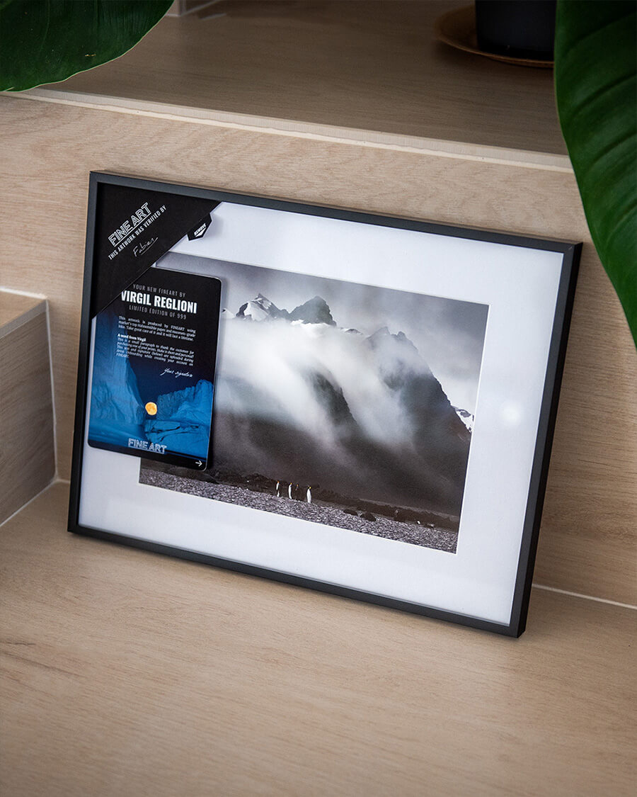 SMALL / BLACK FRAME