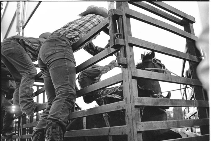 Out the Chute