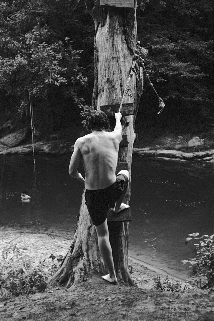 Rope Swing Summer