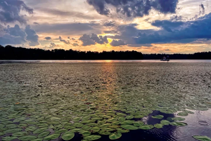 Fishing on Lake Jean