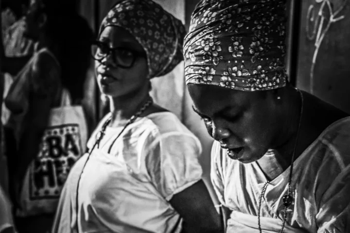 Hands that Feed III / Mãos que Alimentam III