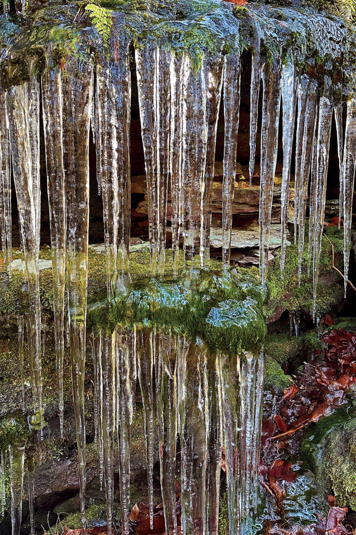 Mossy Icicles at Ricketts Glen