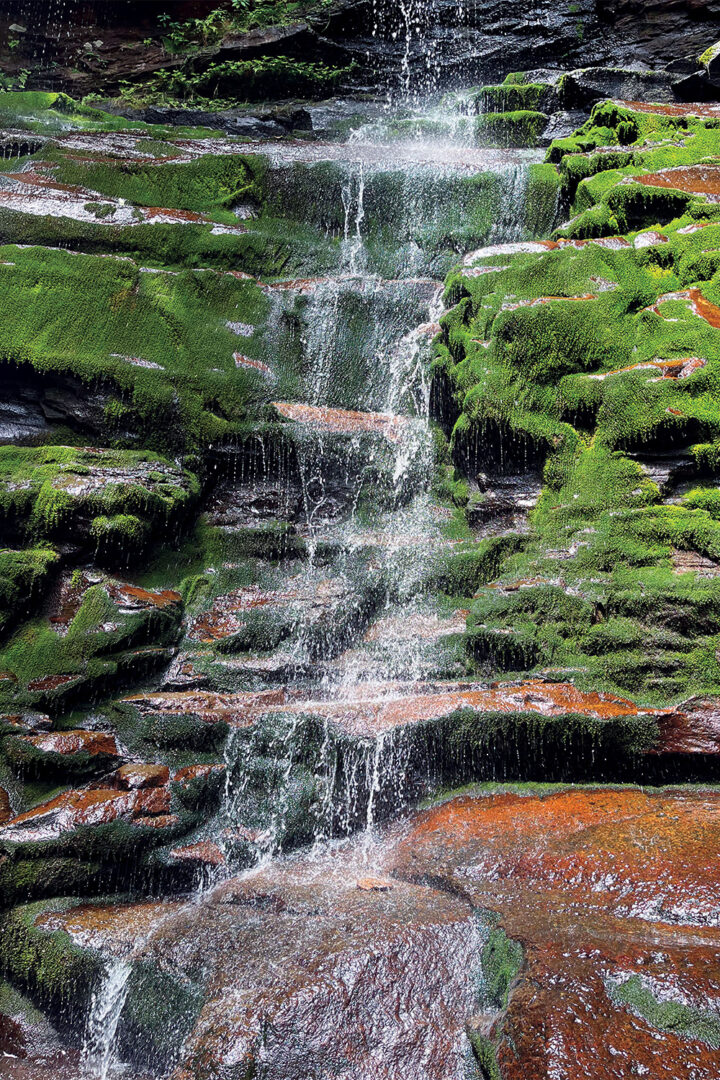 Mossy Waterfall