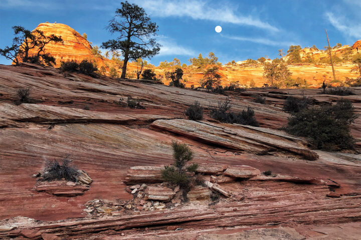 Zion Moon