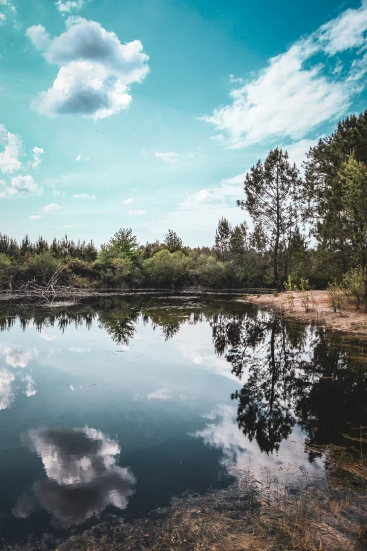 Landes_capes_n°8