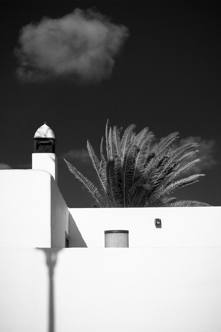 Palm Above White Walls, Lanzarote