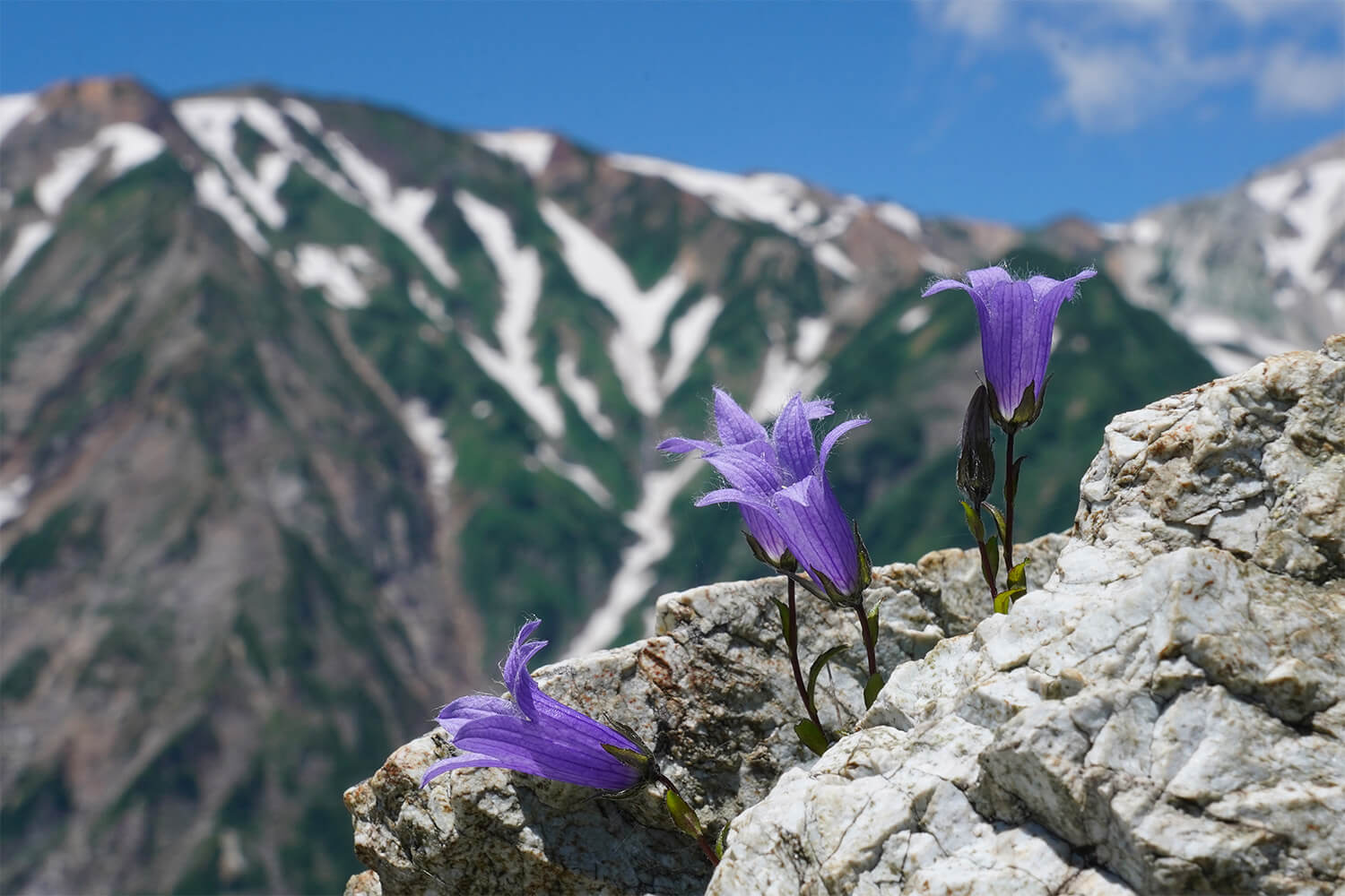 chisimakyou in Hakuba Happouone